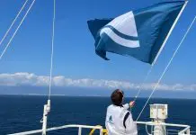 BP exercises option to terminate charter deal for Seapeak LNG carrier