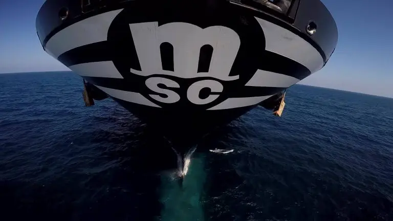 MSC orders more LNG-powered containerships in China